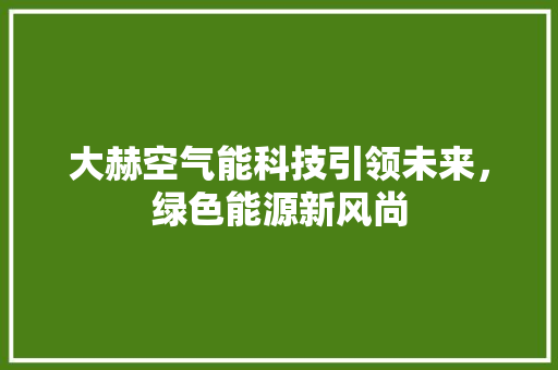 大赫空气能科技引领未来，绿色能源新风尚 热水器