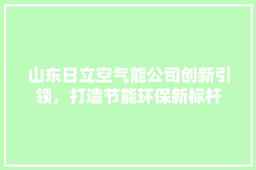山东日立空气能公司创新引领，打造节能环保新标杆 清洁保养