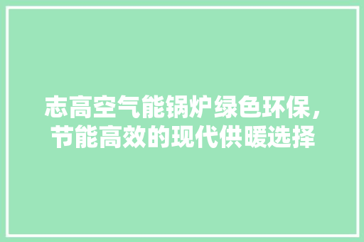 志高空气能锅炉绿色环保，节能高效的现代供暖选择 热水器