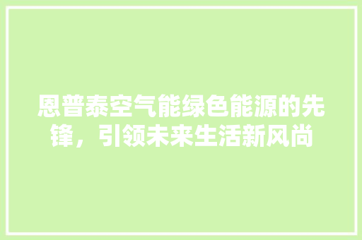 恩普泰空气能绿色能源的先锋，引领未来生活新风尚 水电维修