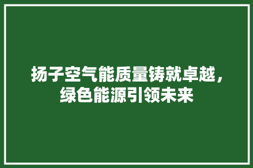 扬子空气能质量铸就卓越，绿色能源引领未来 清洁保养