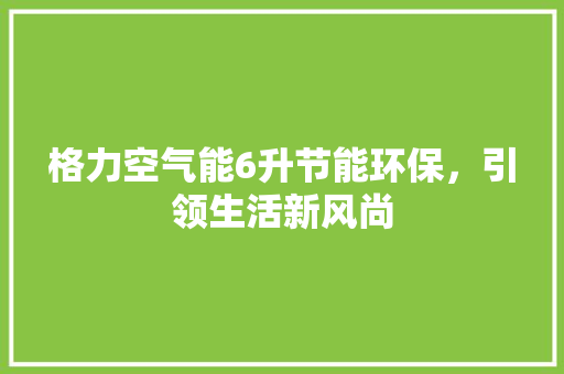 格力空气能6升节能环保，引领生活新风尚 家具修理