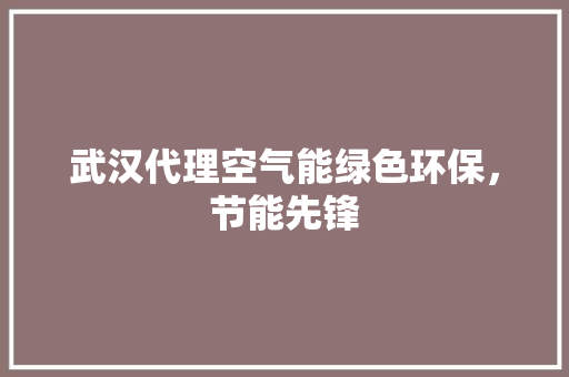 武汉代理空气能绿色环保，节能先锋 灯具安装