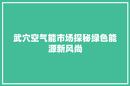 武穴空气能市场探秘绿色能源新风尚 洁具维修