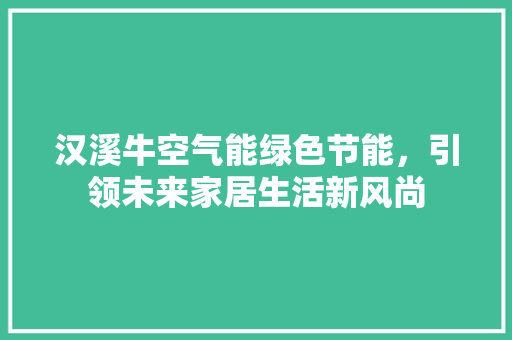 汉溪牛空气能绿色节能，引领未来家居生活新风尚 洗衣机