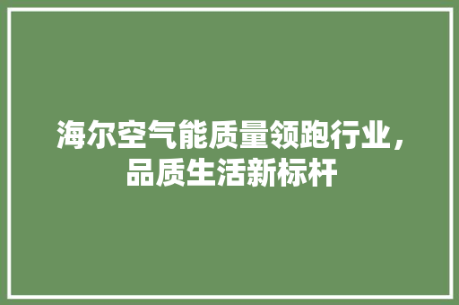 海尔空气能质量领跑行业，品质生活新标杆 洗衣机