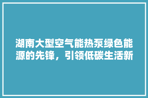 湖南大型空气能热泵绿色能源的先锋，引领低碳生活新潮流 清洁保养