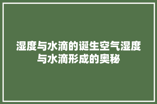 湿度与水滴的诞生空气湿度与水滴形成的奥秘 清洁保养