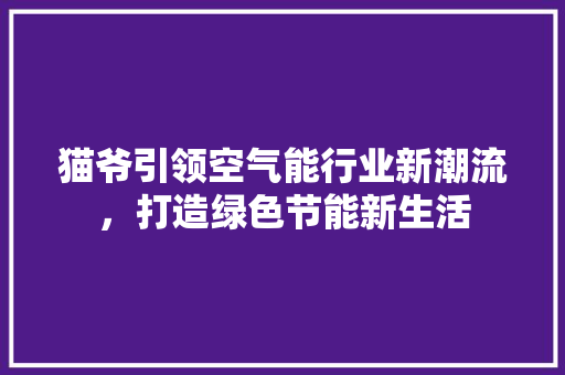 猫爷引领空气能行业新潮流，打造绿色节能新生活 翻新改色