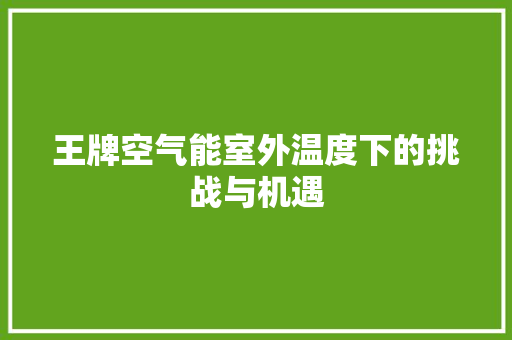 王牌空气能室外温度下的挑战与机遇 家电维护