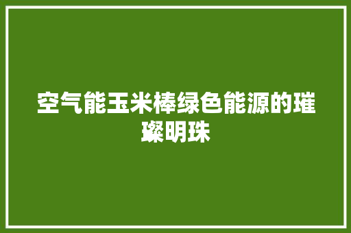 空气能玉米棒绿色能源的璀璨明珠 洗衣机