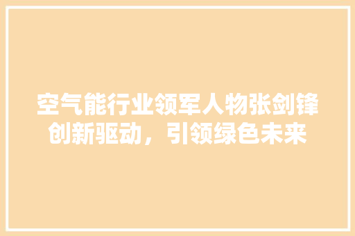 空气能行业领军人物张剑锋创新驱动，引领绿色未来 空调