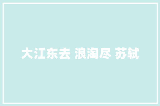 空气能采暖排气维修技术与实操指南 贴膜
