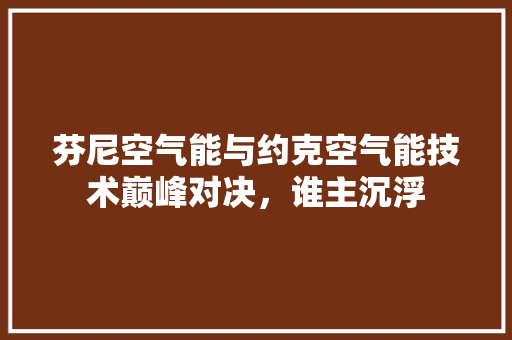 芬尼空气能与约克空气能技术巅峰对决，谁主沉浮 旧房改造