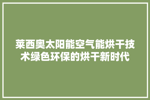 莱西奥太阳能空气能烘干技术绿色环保的烘干新时代 翻新改色