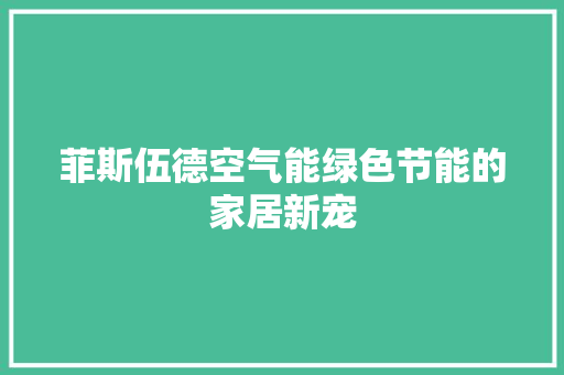 菲斯伍德空气能绿色节能的家居新宠 热水器