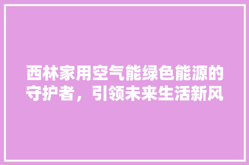 西林家用空气能绿色能源的守护者，引领未来生活新风尚 贴膜