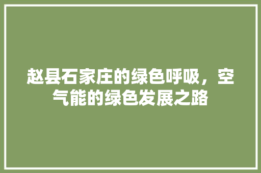 赵县石家庄的绿色呼吸，空气能的绿色发展之路 装修设计