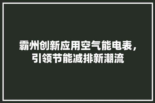 霸州创新应用空气能电表，引领节能减排新潮流 洗衣机
