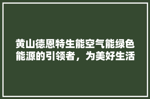 黄山德恩特生能空气能绿色能源的引领者，为美好生活赋能 家居维修
