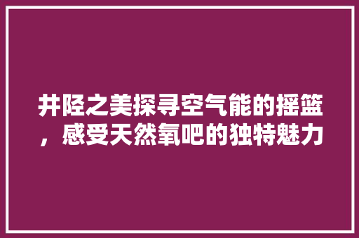 井陉之美探寻空气能的摇篮，感受天然氧吧的独特魅力 水电维修