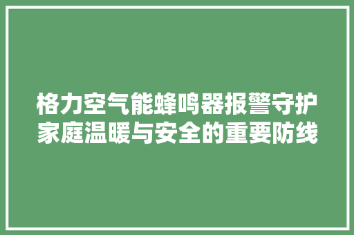 格力空气能蜂鸣器报警守护家庭温暖与安全的重要防线 局部翻新