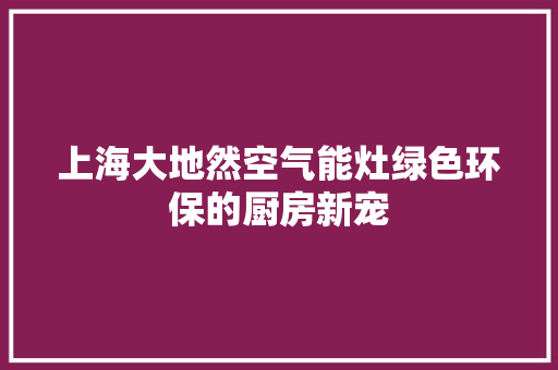 上海大地然空气能灶绿色环保的厨房新宠 家居维修