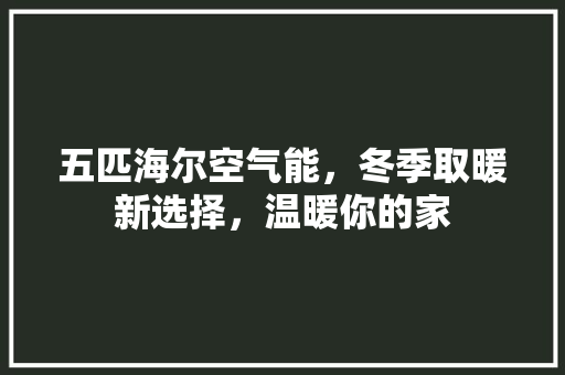 五匹海尔空气能，冬季取暖新选择，温暖你的家 家居维修