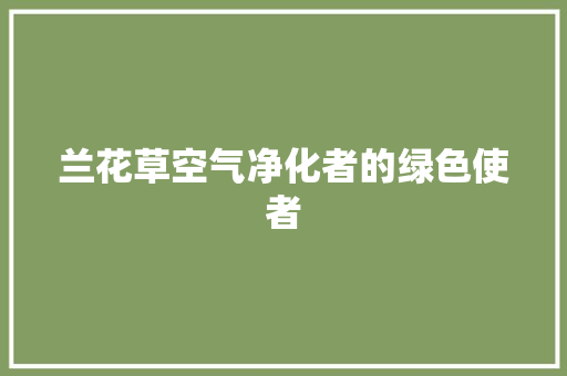 兰花草空气净化者的绿色使者 旧房改造 兰花草空气净化者的绿色使者 旧房改造