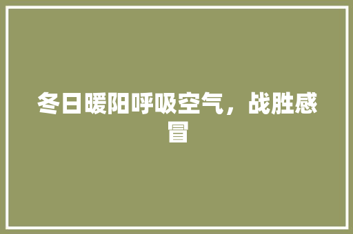 冬日暖阳呼吸空气，战胜感冒 家居维修