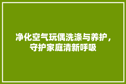 净化空气玩偶洗涤与养护，守护家庭清新呼吸 家居维修