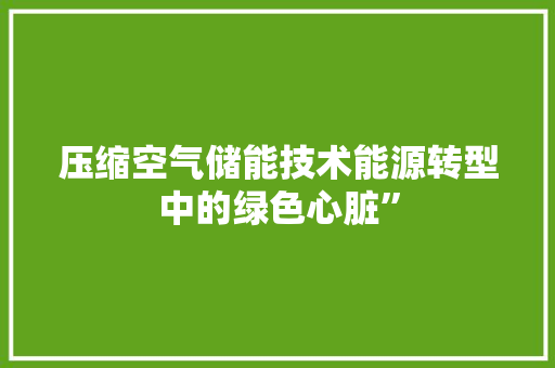 压缩空气储能技术能源转型中的绿色心脏” 家电维护