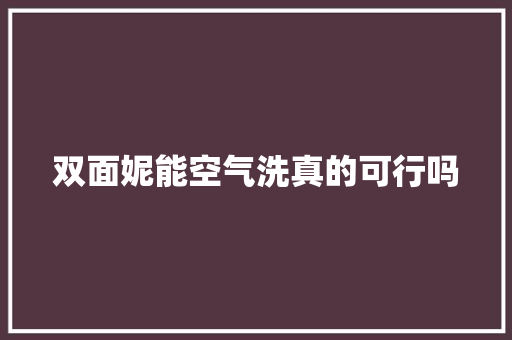 双面妮能空气洗真的可行吗 局部翻新