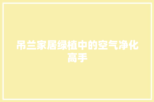吊兰家居绿植中的空气净化高手 热水器