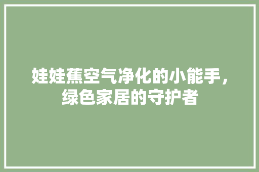 娃娃蕉空气净化的小能手，绿色家居的守护者 灯具安装