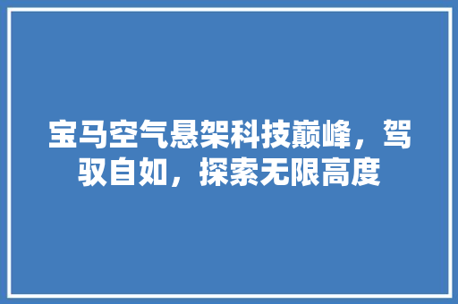 宝马空气悬架科技巅峰，驾驭自如，探索无限高度 灯具安装