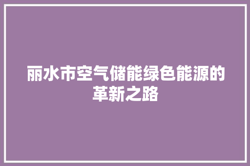 丽水市空气储能绿色能源的革新之路 空调