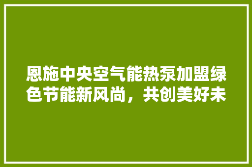 恩施中央空气能热泵加盟绿色节能新风尚，共创美好未来 贴膜