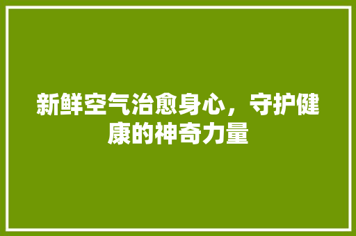 新鲜空气治愈身心，守护健康的神奇力量 家电维护