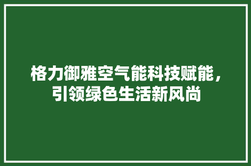 格力御雅空气能科技赋能，引领绿色生活新风尚 家电维护