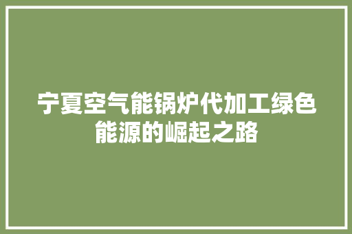 宁夏空气能锅炉代加工绿色能源的崛起之路 旧房改造