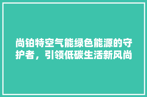 尚铂特空气能绿色能源的守护者，引领低碳生活新风尚 局部翻新