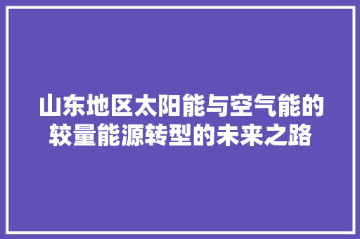 山东地区太阳能与空气能的较量能源转型的未来之路 清洁保养