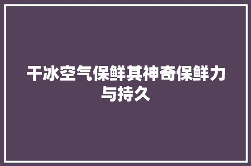 干冰空气保鲜其神奇保鲜力与持久 清洁保养