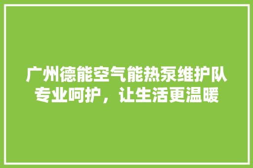 广州德能空气能热泵维护队专业呵护，让生活更温暖 家居维修