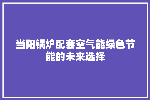 当阳锅炉配套空气能绿色节能的未来选择 冰箱
