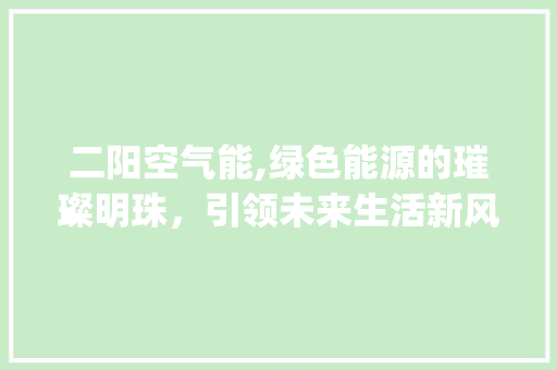 二阳空气能,绿色能源的璀璨明珠，引领未来生活新风尚_二阳空气能 二阳空气能,绿色能源的璀璨明珠，引领未来生活新风尚_二阳空气能 清洁保养