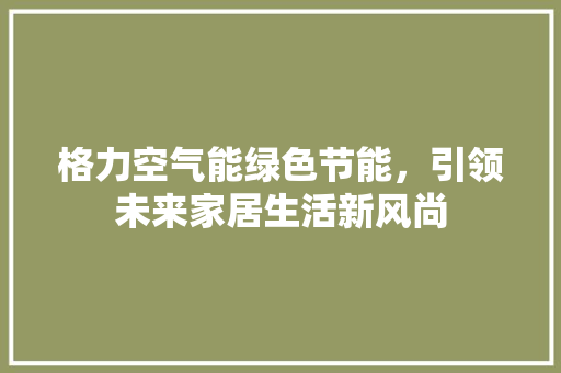 格力空气能绿色节能，引领未来家居生活新风尚 家具修理