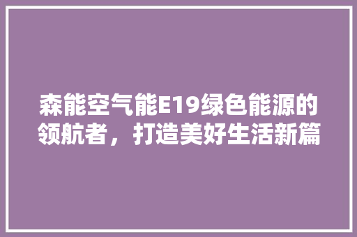 森能空气能E19绿色能源的领航者，打造美好生活新篇章 翻新改色