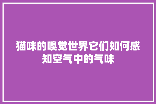 猫咪的嗅觉世界它们如何感知空气中的气味 旧房改造